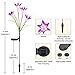 Digiroot Waterproof Outdoor Solar Garden Stake lights,2 Packs Solar Powered Garden Lights with 8 Lily Flower ,Multi-Color Changing LED Solar Stake Lights for Garden,Patio,Backyard Decor