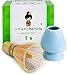 Umami Matcha Whisk Set | Matcha Bamboo Whisk (Chasen) & Blue Ceramic Matcha Whisk Holder | 100 Tine Matcha Tea Wisk & Stand | Ceremonial Matcha Tea Set | Starter Matcha Kit For Japanese Tea Ceremony