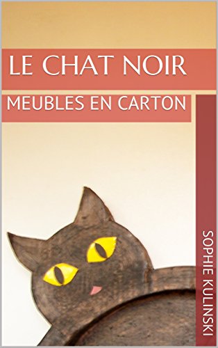 Le Chat Noir Meubles En Carton French Edition Kindle