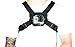 Chest Camera Mount for All Smartphones, GoPros, and Digital Cameras. Universal iPhone & Samsung Galaxy