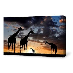 for Living Room Bedroom Home Artwork Paintings Charming Sunset