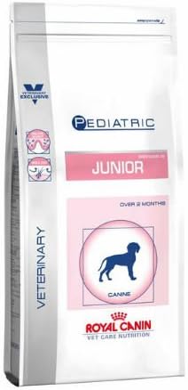 top rated dog food for labs