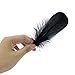 Coceca 300pcs Black Feathers for Various Birthday Party Wedding Festival Party Decorations