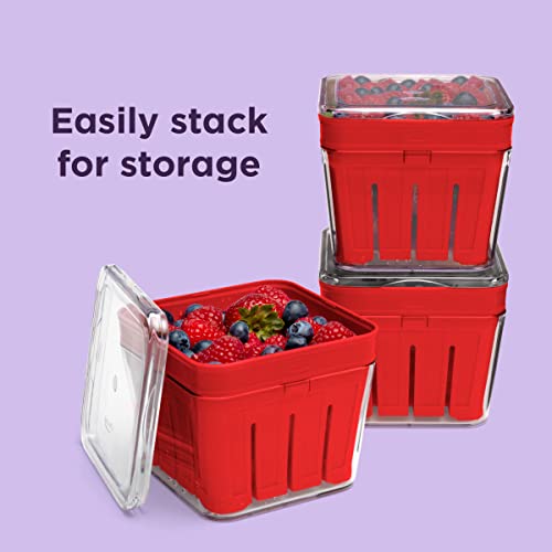 Chef'n Bramble Berry Basket and Colander (1Quart, Cherry) Pricepulse
