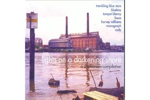 Lights on a Darking Shore