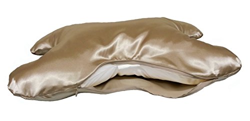Save My Face Pillow Value Set In Satin Champagne Color Buy