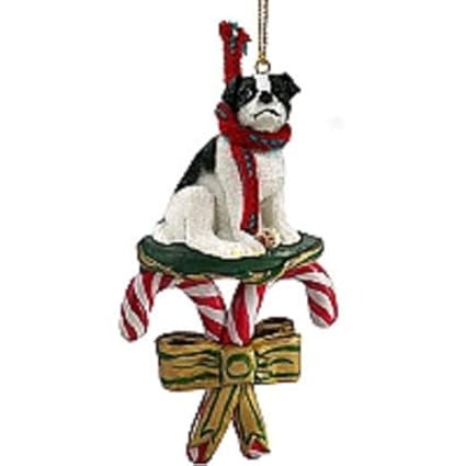 Amazon Com Jack Russell Terrier Black White W Smooth Coat Candy