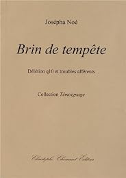Brin de tempête