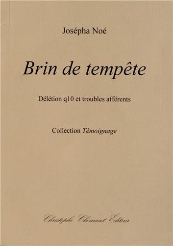 Brin de tempête