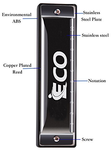 Diatonic Harmonica – 10 Hole Blues Harp with Case, Learning Instruction, Polishing Cloth, Key of C