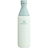 Stanley All Day Slim Bottle 20 oz | Twist On Lid with Leakproof Seal | Slim Design for Travel & Gym | Insulated Stainless Steel | BPA-Free | Mist