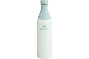 Stanley All Day Slim Bottle 20 oz | Twist On Lid with Leakproof Seal | Slim Design for Travel & Gym | Insulated Stainless Steel | BPA-Free | Mist