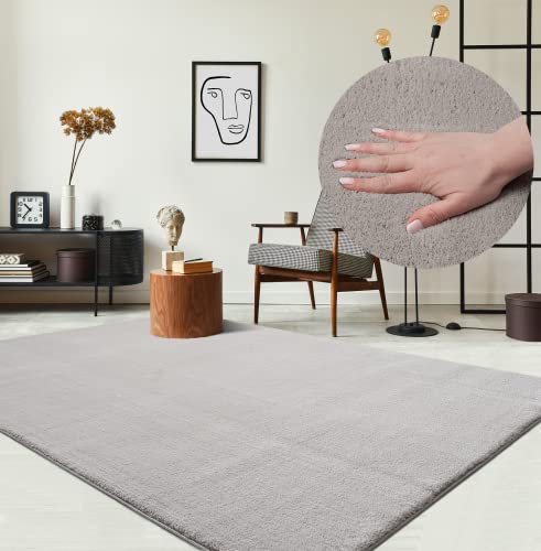 the carpet Relax Moderner Flauschiger Kurzflor Teppich, Anti-Rutsch Unterseite, Waschbar bis 30 Grad, Super Soft, Felloptik, Sand, 240 x 340 cm
