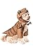 Jurassic World: T-Rex Pet Costume for For Dogs or Cats by Rubies, Medium
