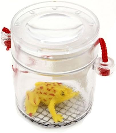 1 X Childs Bug/Insect Magnifier Educational Gift Toy Viewer Tub Box With Lanyard