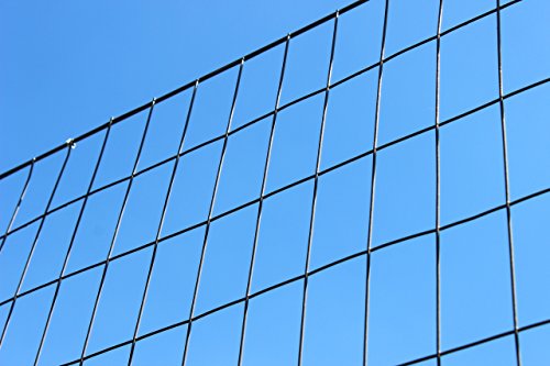 DeerBusters 4' x 100' Welded Wire 14 Gauge Before PVC Coating 2"x 4" Mesh - Thumbnail 2