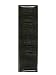 Bissell Pleated Post Motor Filter, 32076 primary