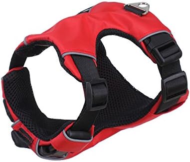 Clearance Sale Soft Dog Harness , Front Range Everyday Harness (M, Red)