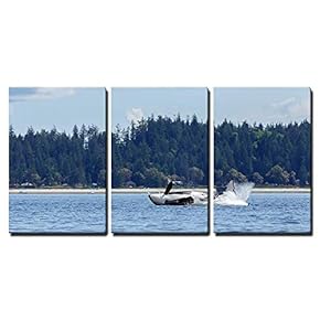 3 Piece Canvas Wall Art - Jumping orca ore Killer Whale - Modern Home Art Stretched and Framed Ready to Hang - 16"x24"x3 Panels