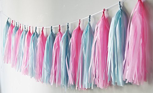 image for DeLaiWen Gender Reveal Party Supplies Pink Blue Ballons/Tissue Pom Pom