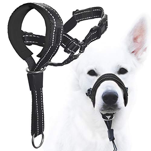 Dog Head Halter at Joshua Thomas blog