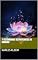 Livro 7 testemunhos de praticantes do Daimoku (Transformação Total com o Daimoku Livro 3)