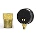 Aquatix Pro Pool Filter Pressure Gauge - Premium Spa/Pool/Aquarium Water Pressure Gauge, 2