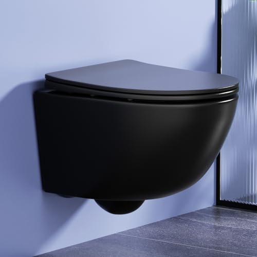 Rainsworth Wand WC Spülrandlos Doppelloch Spülung, Schwarz, 48,5 cm lang