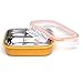 Steeltainer Leak-proof Stainless Steel Compact Size Container (Orange)