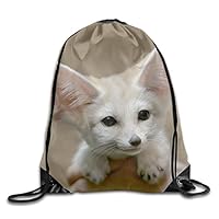 VIMUCIS Fennec Fox Drawstring Backpack Rucksack Shoulder Bags Training Gym Sack for Man and Women