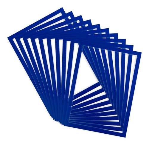 Djois, 194391 - Magnetischer Display-Rahmen Magneto Pro Open Frame, A4, Blau, 10 Stück, Blendfreier Rahmen, Lean System, Visuelle Anzeige, Büros, Werkstätten, Lager