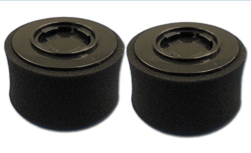 PowerEdge Replacement Vacuum Filter (Pack of 2)