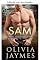 Livro Sam (Os delegados Livro 2)