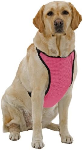 Kumfy Tailz ANSMPK Warming/Cooling Dog Harness, Adjustable Neck by Kumfy Tailz