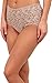 Hanky Panky Women's Signature Lace Retro V-Kini Taupe Briefs SM