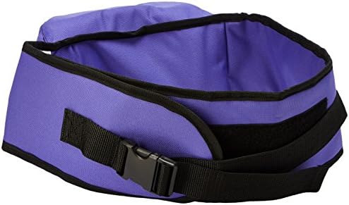 Pomfitis Side Ride Baby Toddler Hip Seat Carrier, Purple