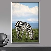 Framed Canvas Wall Art Zebra Animals Dramatic Farmhouse/Country Living Room Multicolor Photography Zebra - 16x24 inches