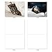 The Best Card Company - 10 Adorable Blank Cat Cards (4 x 5.12 Inch) - Cute Pet Kittens, Assorted Bulk Notecard Set - Cat You See Me Now M1543BN