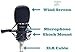 Condenser Microphone, Large Diaphragm Studio Mic Set, Recording Microphone Kit With XLR Cable, Wind Screen, Shock Mount, And Mic (Black)