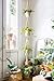 Mkono Macrame Plant Hanger 3 Tier Indoor Outdoor Hanging Planter Basket Cotton Rope with Beads 70 Inches