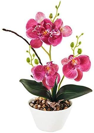 Amazon Com Imiee Silk Flowers With Pot 31cm In Height Artificial Orchid Phalaenopsis Arrangement Flower Bonsai With Vase For Room Table Centerpieces H 12 Home Kitchen