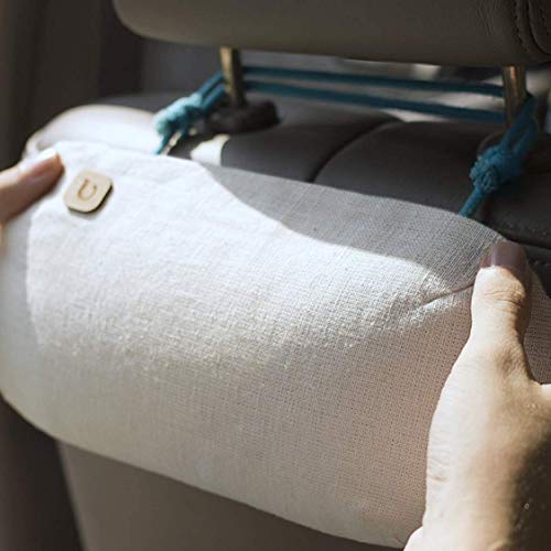 PURGGO Car Air Freshener Lasts 365+ Days No Chemicals 100 Natural Air Purifying Bag