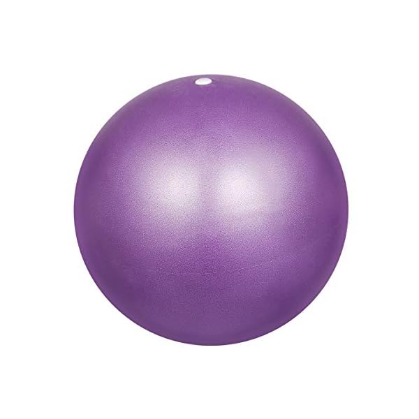 Dokpav 2pcs Pilate Balls 9 inch / 23 cm Small Fitness Yoga Ball Exercise Balance Ball for Pilates,Yoga, Core Training…