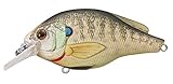 LIVETARGET Bluegill Squarebill Shallow Dive2 3/4