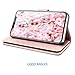 Fingic Wallet Case for iPhone Xs Max,Case for iPhone Xs Max,Glitter Flip PU Leather Credit Card Holder Cash Pockets Wristlet Protective Phone Case for Apple iPhone Xs Max 2018 6.5