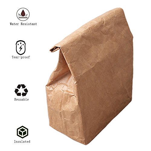 Hangnuo 2 Pack Insulated Brown Paper Lunch Bags Reusable, Retro Lunch