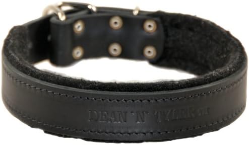 dt dog collars