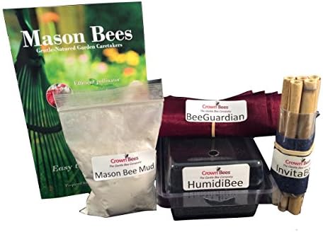 Total Mason Bee Accessories
