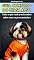 Livro Guia Completo do Lhasa Apso: Tudo o que você precisa saber sobre essa raça encantadora