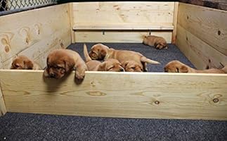 whelping box liner